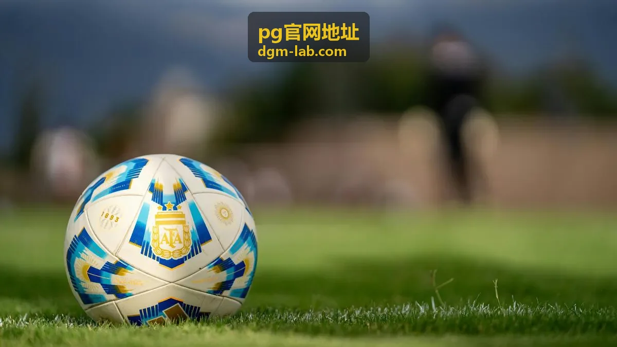pg官网地址安全设置与密码修改教程