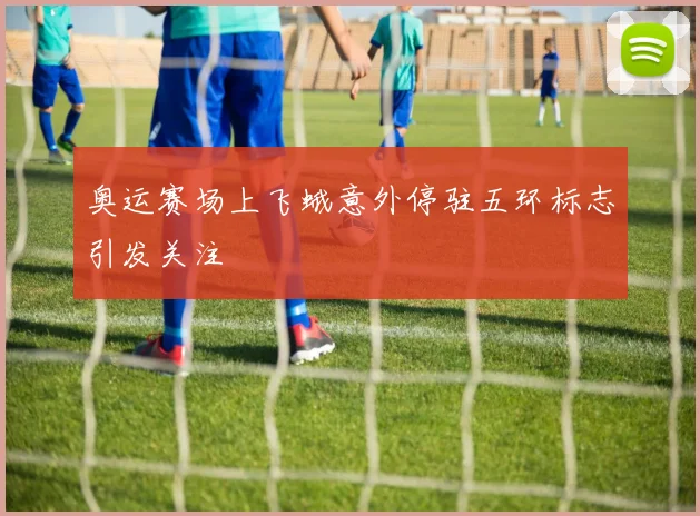 奥运赛场上飞蛾意外停驻五环标志引发关注