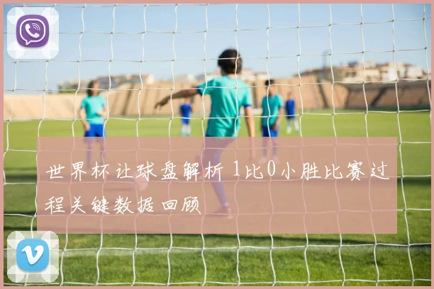 世界杯让球盘解析 1比0小胜比赛过程关键数据回顾