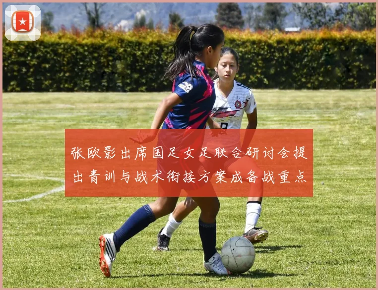 张欧影出席国足女足联合研讨会提出青训与战术衔接方案成备战重点