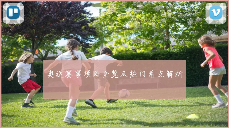 奥运赛事项目全览及热门看点解析