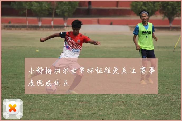 小舒梅切尔世界杯征程受关注 赛事表现成焦点