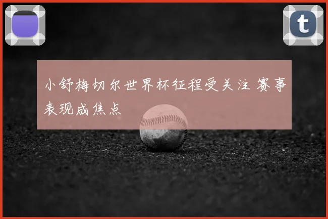 小舒梅切尔世界杯征程受关注 赛事表现成焦点