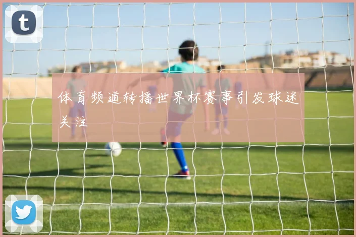 体育频道转播世界杯赛事引发球迷关注