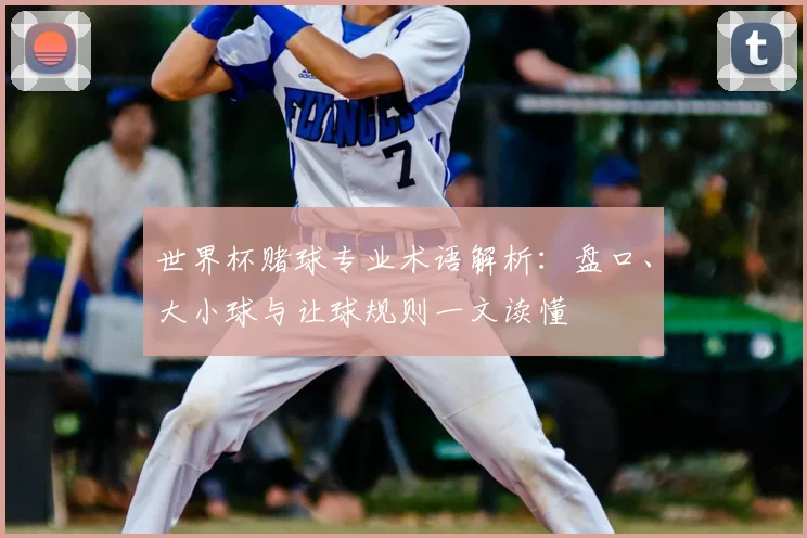 世界杯赌球专业术语解析:盘口、大小球与让球规则一文读懂