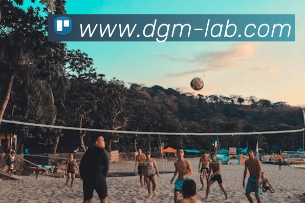 必一体育sport官网APP 封面图